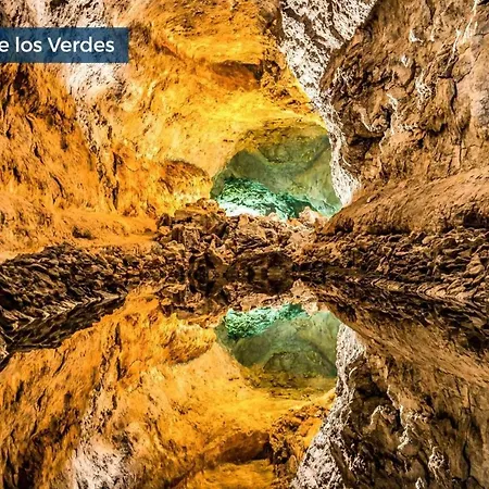 فيلة Florencia *